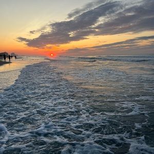 Meet your Posher, Ella